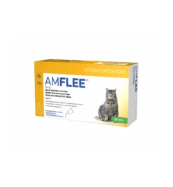 Amflee 50 Mg
