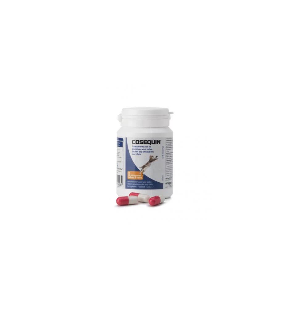 Cosequin Kat - 45 Capsules 3 Cosequin Kat - 45 Capsules