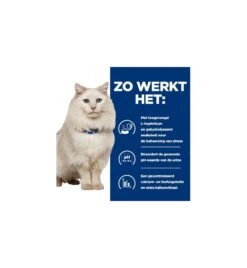 Hill's PD C/D Urinary Care Stress Stoofpotje Met Kip & Groente - 24 X 82 Gram 11 Hill's PD C/D Urinary Care Stress Stoofpotje Met Kip & Groente - 24 X 82 Gram -Kattenbenodigdheden Winkel hill s pd cd urinary stress urinary care stoofpotje met kip groente 24 x 82 gram 3