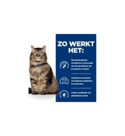 Hill's Prescription Diet Gastrointetinal Biome 9 Hill's Prescription Diet Gastrointetinal Biome -Kattenbenodigdheden Winkel hill s prescription diet gastrointetinal biome 3