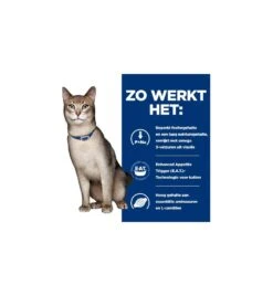 Hill's Prescription Diet K/D Kidney Care Met Tonijn - 1.5 Kg 15 Hill's Prescription Diet K/D Kidney Care Met Tonijn - 1.5 Kg -Kattenbenodigdheden Winkel hill s prescription diet kd kidney care met tonijn 3