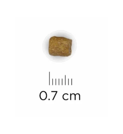 Hill's Prescription Diet L/D Liver Care - 1.5 Kg 8 Hill's Prescription Diet L/D Liver Care - 1.5 Kg -Kattenbenodigdheden Winkel hill s prescription diet ld liver care 15 kg 1