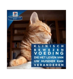 Hill's Prescription Diet M/D Diabetes & Weight Management -Kattenbenodigdheden Winkel hill s prescription diet md diabetes weight management 3