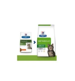Kattenbenodigdheden Winkel -Kattenbenodigdheden Winkel hill s prescription diet metabolic weight management 1
