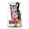 Hill's Science Plan Adult Hairball Indoor Met Kip -Kattenbenodigdheden Winkel hill s science plan adult hairball indoor met kip