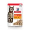 Hill's Science Plan Adult Maaltijdzakjes Met Kip - 12 X 85 Gram 2 Hill's Science Plan Adult Maaltijdzakjes Met Kip - 12 X 85 Gram -Kattenbenodigdheden Winkel hill s science plan adult maaltijdzakjes met kip 12 x 85 gram