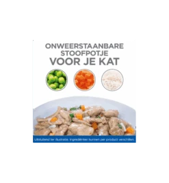 Hill's Science Plan Healthy Cuisine Volwassen Kat Stoofpotje Kip & Zalm - 4 X 12 X 80 Gram -Kattenbenodigdheden Winkel hill s science plan healthy cuisine volwassen kat stoofpotje kip zalm 4 x 12 x 80 gram 2