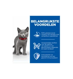 Hill's Science Plan Sterilised Kitten Met Kip 9 Hill's Science Plan Sterilised Kitten Met Kip -Kattenbenodigdheden Winkel hill s science plan sterilised kitten met kip 3