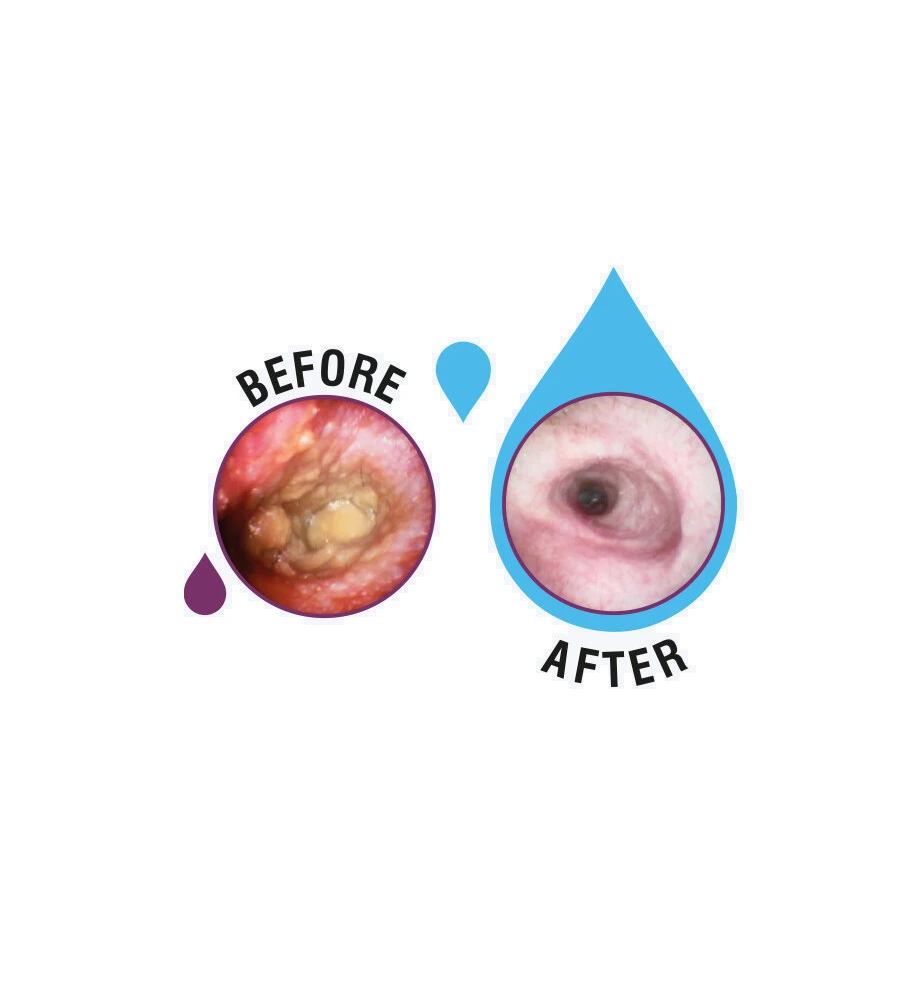 MalaZinc Ear Drops - 120 Ml 4 MalaZinc Ear Drops - 120 Ml - Afbeelding 2