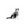 Medical Pet Shirt (Kat / Zebraprint) 2 Medical Pet Shirt (Kat / Zebraprint) -Kattenbenodigdheden Winkel medical pet shirt kat zebraprint