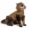Medical Pet Shirt (Kat / Luipaardprint) 1 Medical Pet Shirt (Kat / Luipaardprint) -Kattenbenodigdheden Winkel medical pet shirt luipaard print