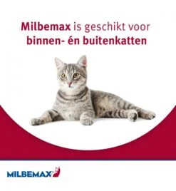 Milbemax Grote Kat 13 Milbemax Grote Kat -Kattenbenodigdheden Winkel milbemax grote kat 3