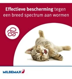 Milbemax Kleine Kat / Kitten 8 Milbemax Kleine Kat / Kitten -Kattenbenodigdheden Winkel milbemax kleine kat kitten 1