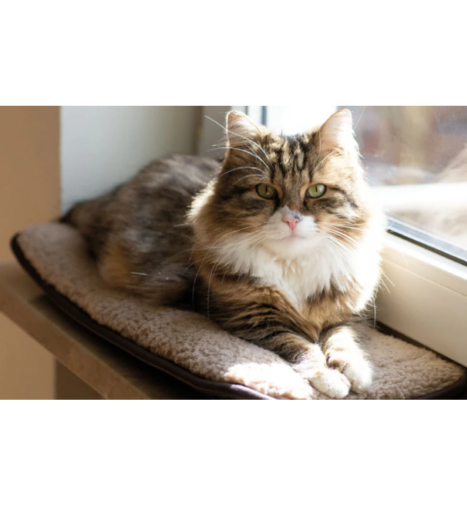 Petlando Windowchiller 4 Petlando Windowchiller - Afbeelding 2