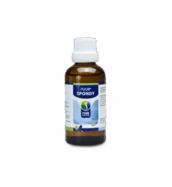 PUUR Spondy - 50 Ml