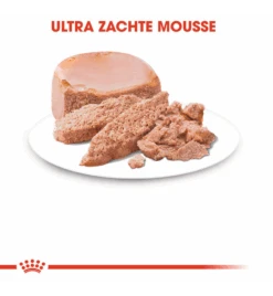 Royal Canin Mother & Babycat Mousse - 12 X 195 Gram -Kattenbenodigdheden Winkel royal canin mother babycat mousse 12 x 195 gram 2