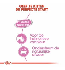 Royal Canin Mother & Babycat Mousse - 12 X 195 Gram -Kattenbenodigdheden Winkel royal canin mother babycat mousse 12 x 195 gram 3