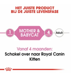 Royal Canin Mother & Babycat Mousse - 12 X 195 Gram -Kattenbenodigdheden Winkel royal canin mother babycat mousse 12 x 195 gram 4