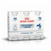 Royal Canin Recovery Liquid - 3 X 200 Ml 2 Royal Canin Recovery Liquid - 3 X 200 Ml -Kattenbenodigdheden Winkel royal canin recovery liquid 3 x 200 ml