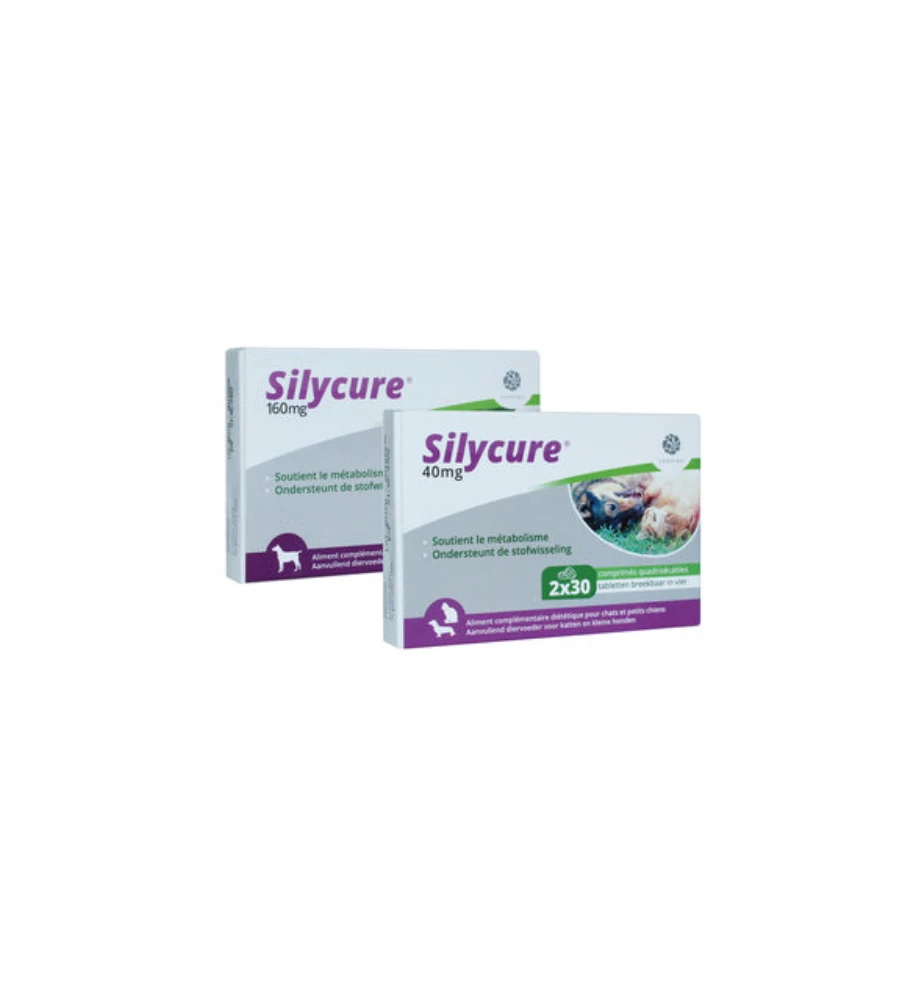 Silycure 160 Mg - 30 Tabletten 5 Silycure 160 Mg - 30 Tabletten - Afbeelding 3