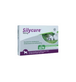 Silycure 160 Mg - 30 Tabletten