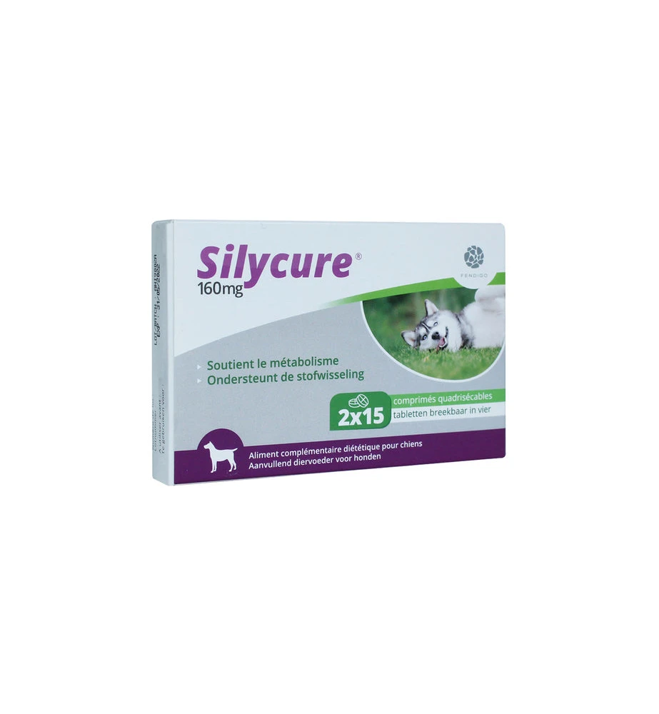 Silycure 160 Mg - 30 Tabletten 3 Silycure 160 Mg - 30 Tabletten