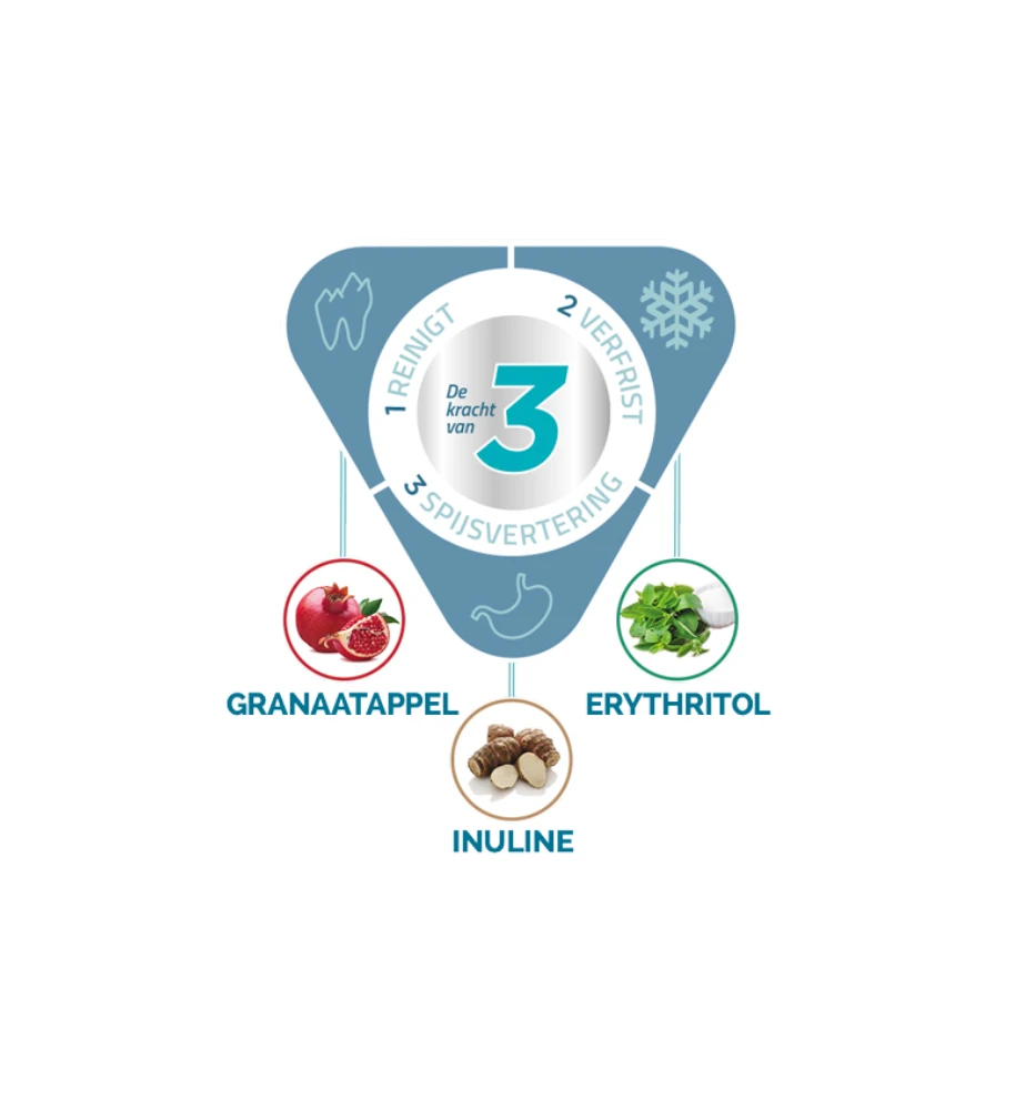 Virbac Vet Aquadent Fr3sh 4 Virbac Vet Aquadent Fr3sh - Afbeelding 2