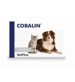 VetPlus Cobalin - 60 Capsules 7 VetPlus Cobalin - 60 Capsules -Kattenbenodigdheden Winkel vetplus cobalin 60 capsules 2