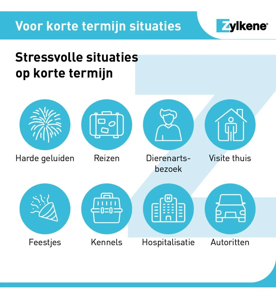 Vetoquinol Zylkène 75 Mg Capsules (- 10 Kg) 5 Vetoquinol Zylkène 75 Mg Capsules (- 10 Kg) - Afbeelding 3