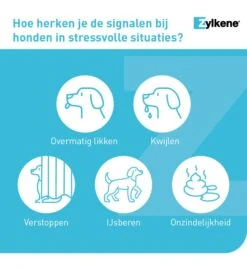 Vetoquinol Zylkène 75 Mg Capsules (- 10 Kg) 13 Vetoquinol Zylkène 75 Mg Capsules (- 10 Kg) -Kattenbenodigdheden Winkel zylkene 75 mg capsules 3