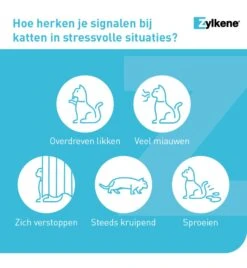 Vetoquinol Zylkène 75 Mg Capsules (- 10 Kg) 14 Vetoquinol Zylkène 75 Mg Capsules (- 10 Kg) -Kattenbenodigdheden Winkel zylkene 75 mg capsules 4