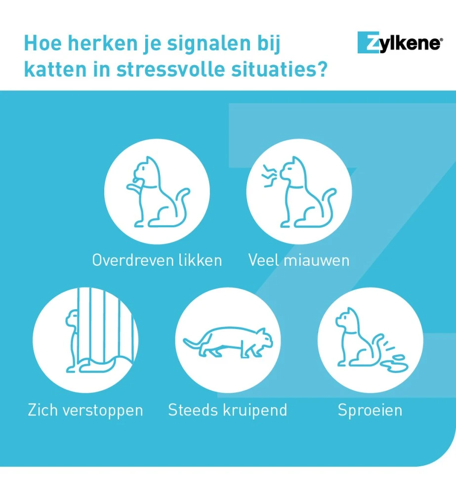 Vetoquinol Zylkène 75 Mg Capsules (- 10 Kg) 7 Vetoquinol Zylkène 75 Mg Capsules (- 10 Kg) - Afbeelding 5