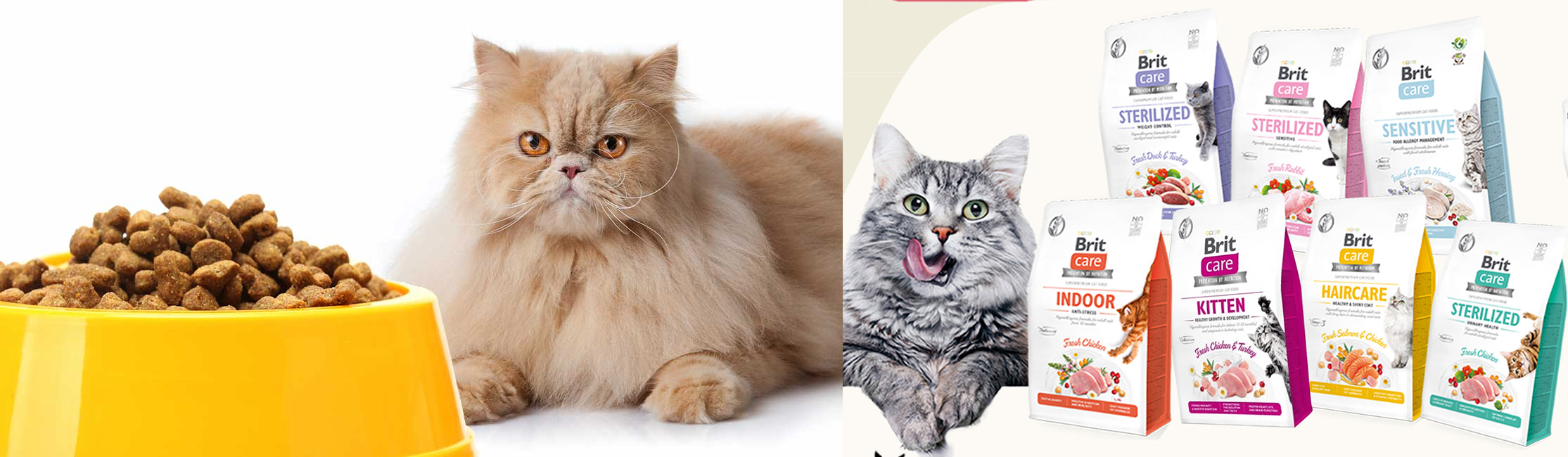 Kattenbenodigdheden Winkel -Kattenbenodigdheden Winkel 1