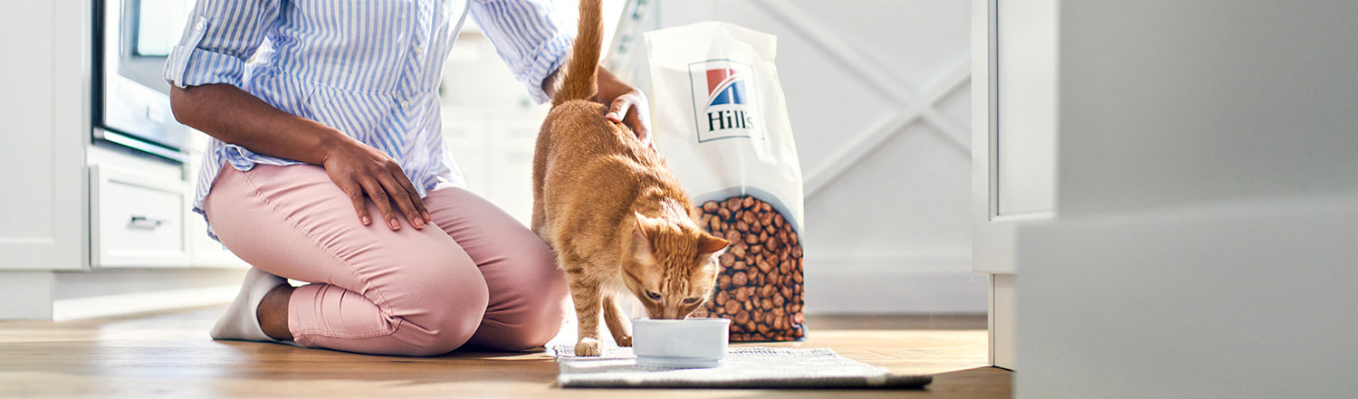 Kattenbenodigdheden Winkel -Kattenbenodigdheden Winkel 2